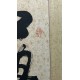 張雪塚書法