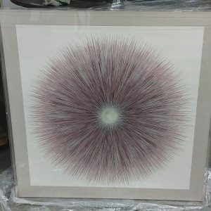Display wall art in the model unit (90% new)