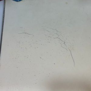 瓷磚裂紋修復
